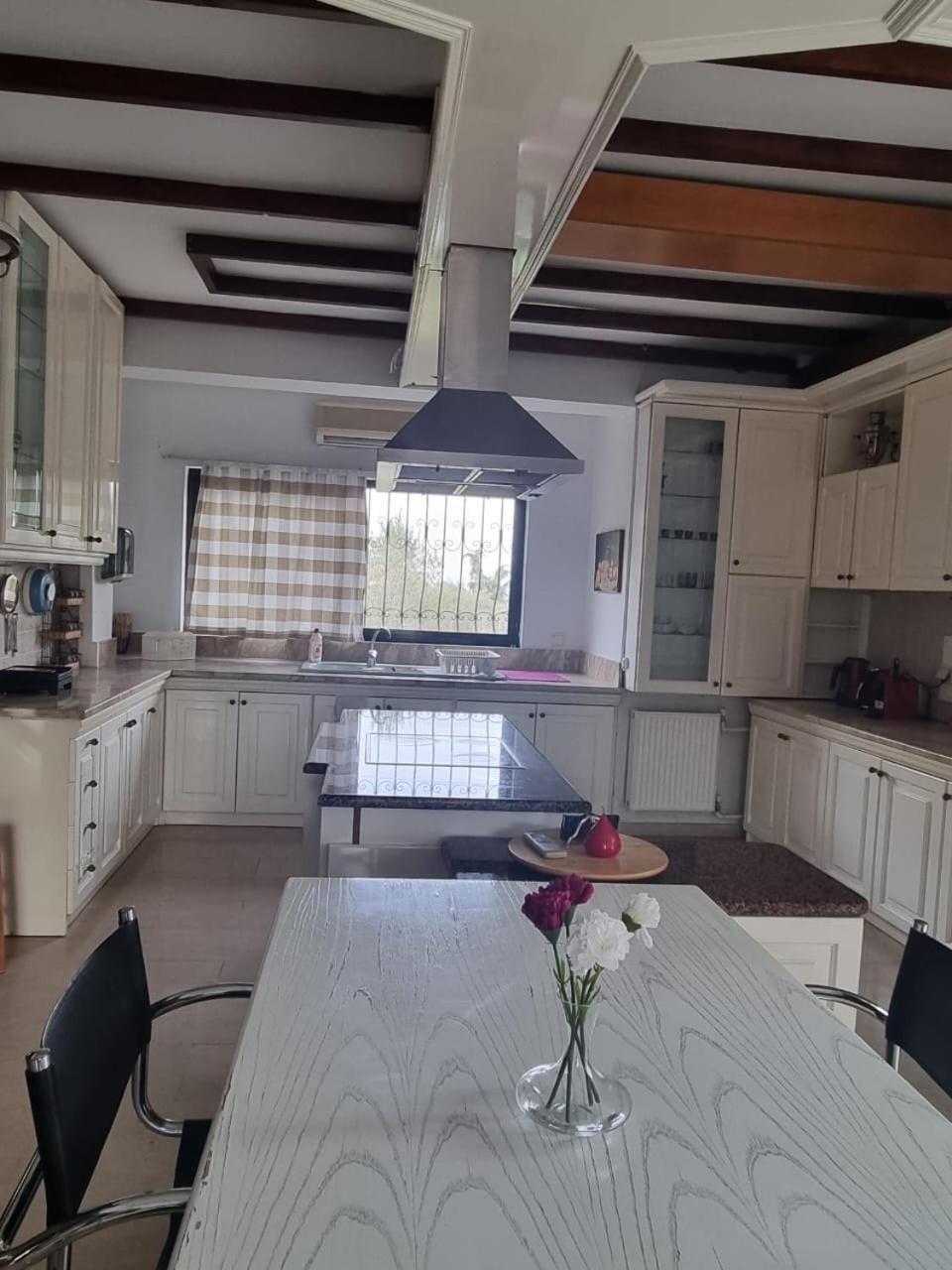 סלוניקי Villa In Trilofos-Close To The Beach מראה חיצוני תמונה